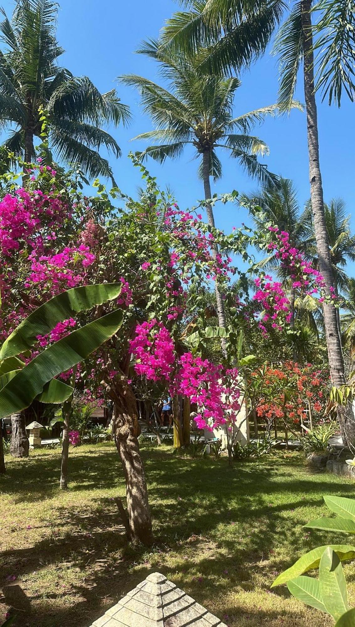 Trawangan Oasis Hotell Gili Trawangan Exteriör bild